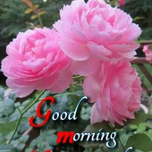 rahul12345