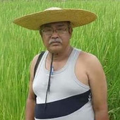 Bikash