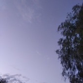 Juana