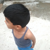 alexi