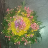 Bipin8811