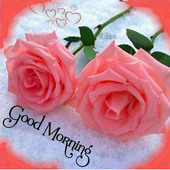 M vijay