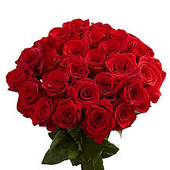 sudeshkrishna