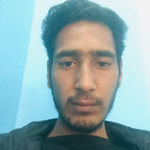hony555
