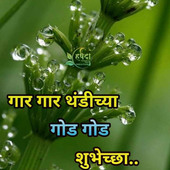 Nilu