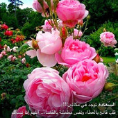 Yunus