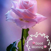 Hajai jill