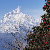himalayanadventurein