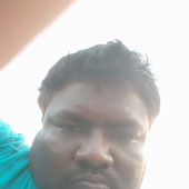 Bunnysrinu