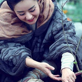 DADU