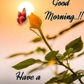 Jaanu