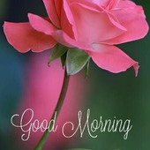 Nilesh mapari