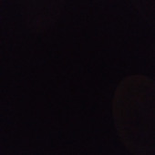 Carlena_97838