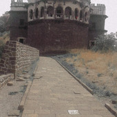 Mahii