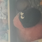 Bita