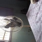 Hardik