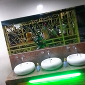 rjdelacruz