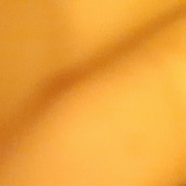 Bcvv
