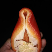 Poppermoe