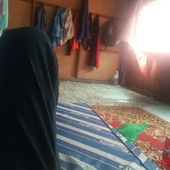 Alip