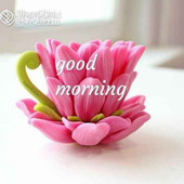 Sandeep nar