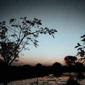 ENDULAL AKASH