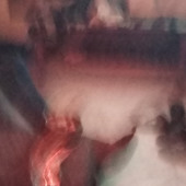 Porn5