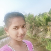 Bipul
