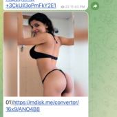 v j parikh