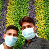 Ravi Dhankhar