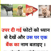 Rahul34893