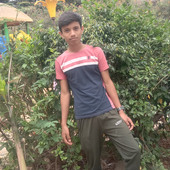 Ramsis