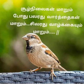 Maham