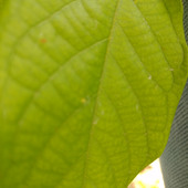 Kumar rakesh