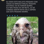 Cucu25