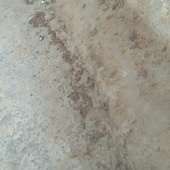 Ayushrai