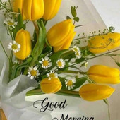dddeepak005