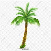Sanjay12345678