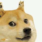 ABC XYZ