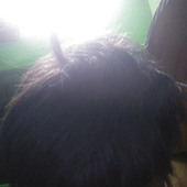 Rkgupta
