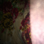 Lovid