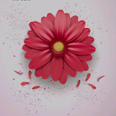 BeautyQueen098