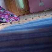 Voolixxxop