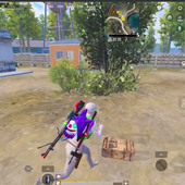 farid7667