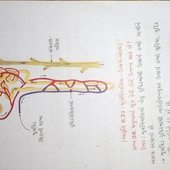 Swayu