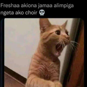 Mkuu