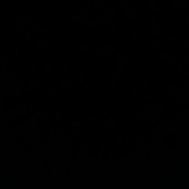 Nobody:;:
