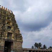 Arjun8775