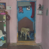 Balu4747