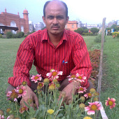 omanush